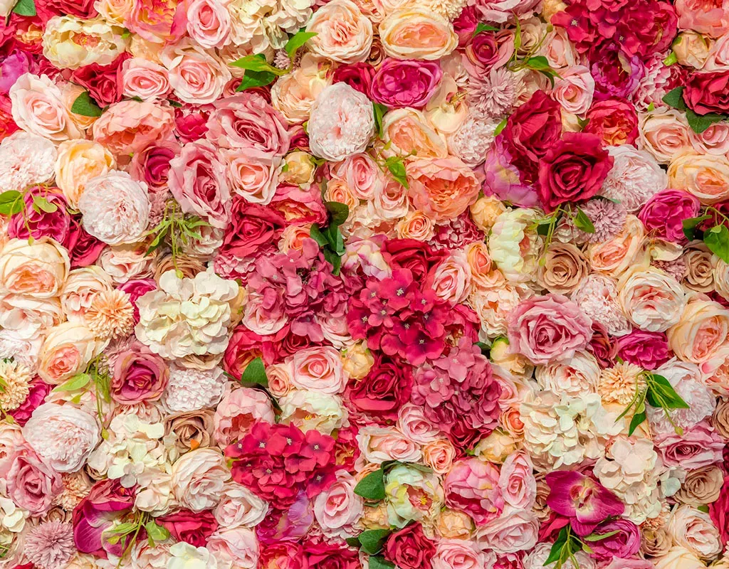 Close-up of blooms all packed in tightly together in white, red, peach and pink