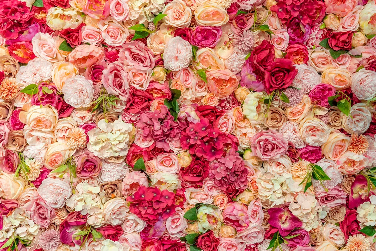 Close-up of blooms all packed in tightly together in white, red, peach and pink