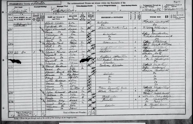 Census 1891