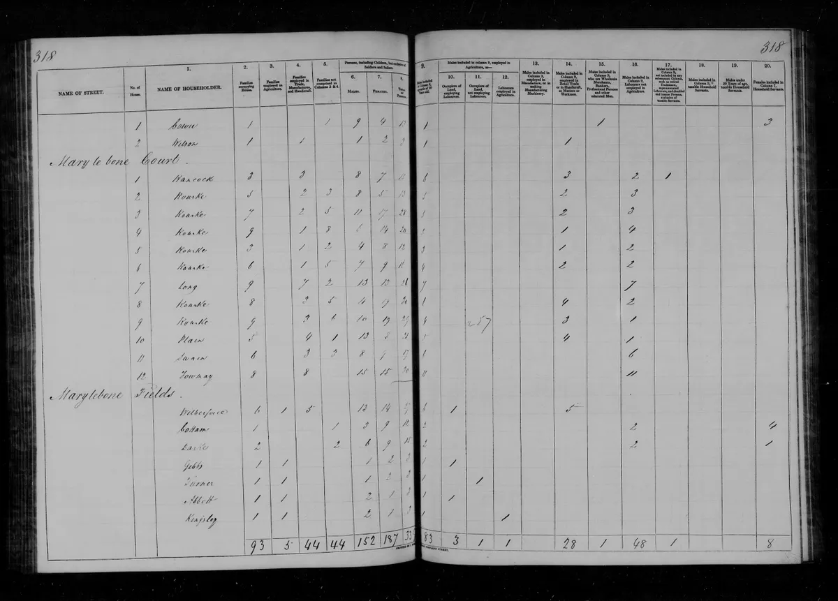 A page from the 1831 census records for Westminster in London. The index is available on Findmypast