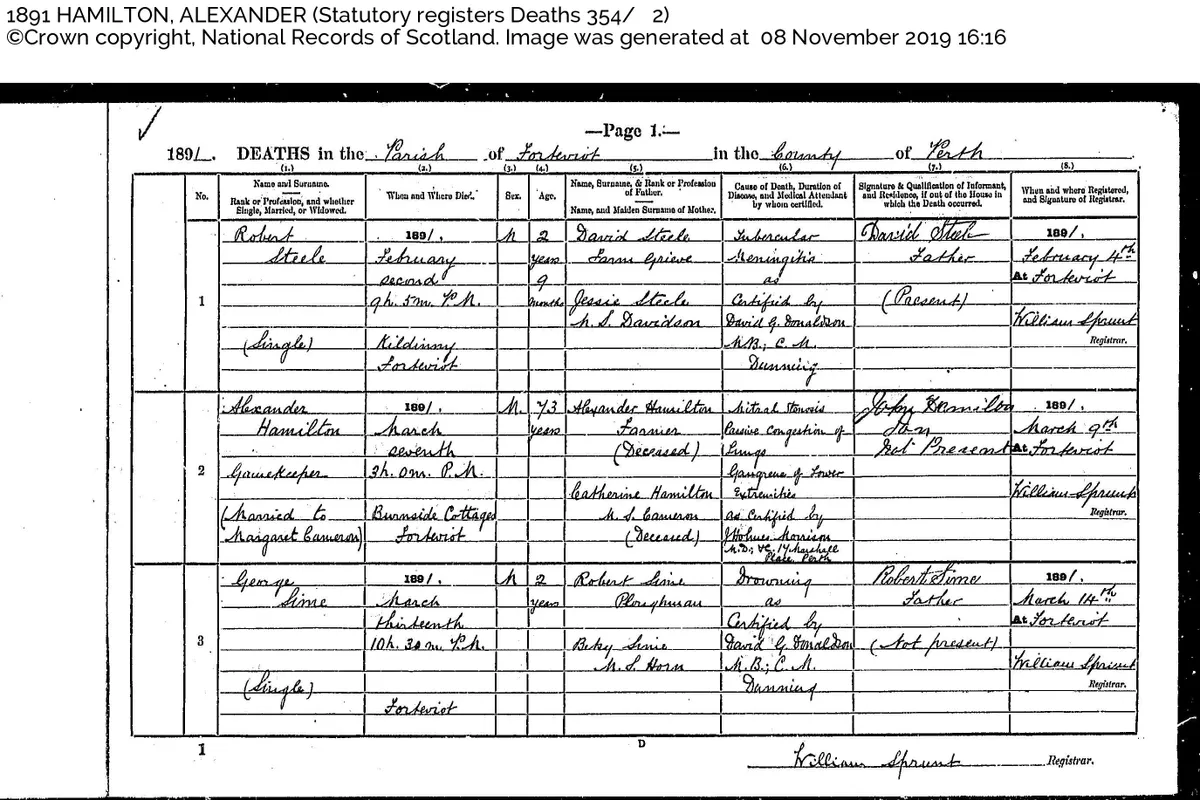 Scottish ancestry 1891 death records from ScotlandsPeople