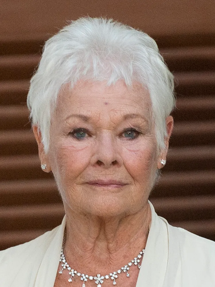 Judi Dench Who Do You Think You Are?