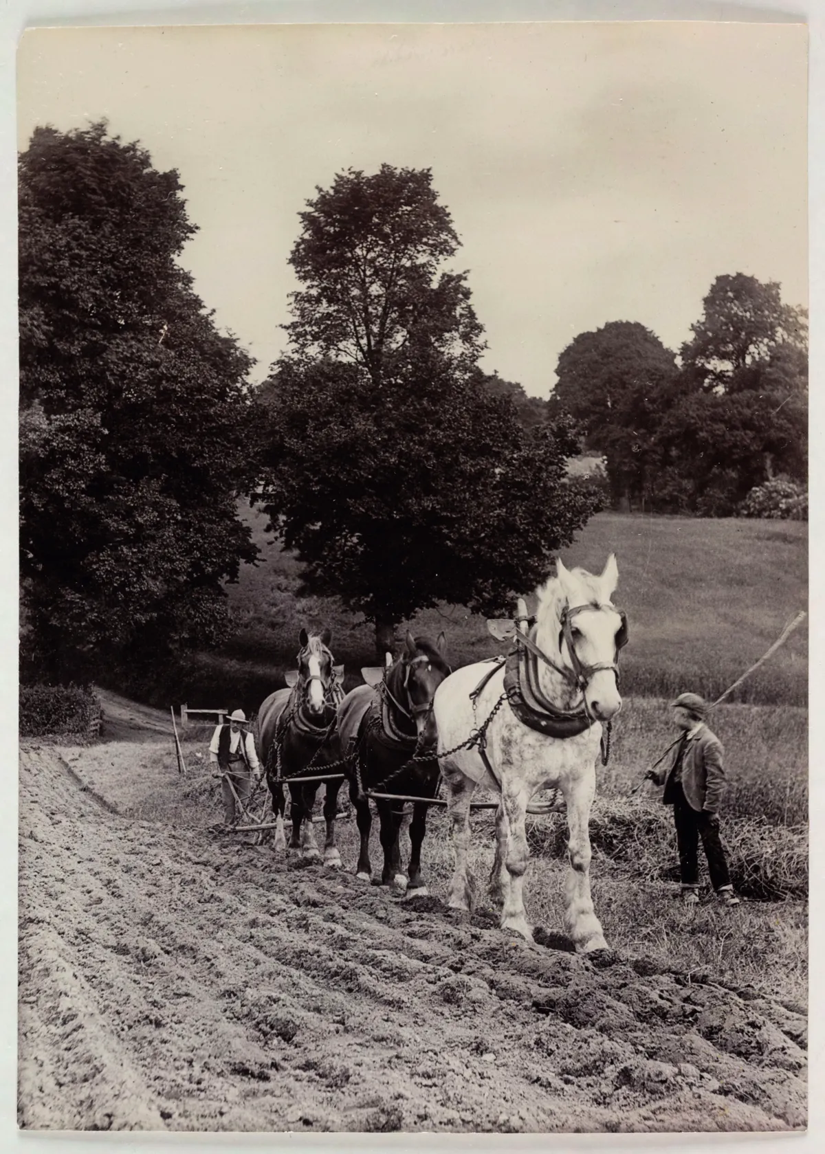 Agricultural labourers ploughing, c.1890