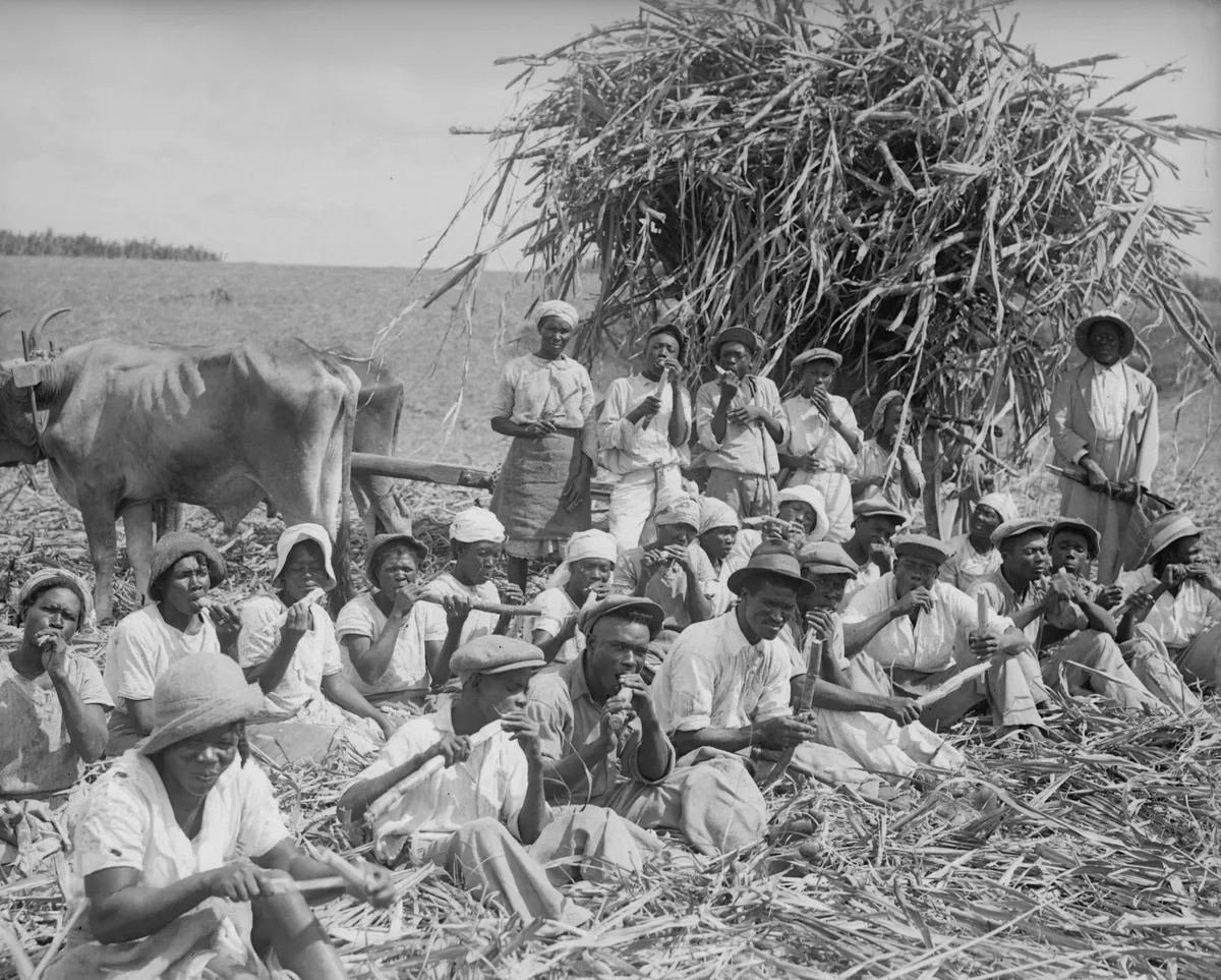 Barbados Cane Cutters 1934