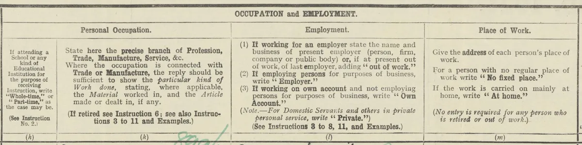 1921 census occupation questions