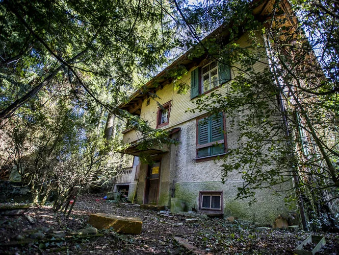 uster_15032017_haus_crm_2_0 Auf diesem Areal soll der Dachs hausen. (Bild: Christian Merz)