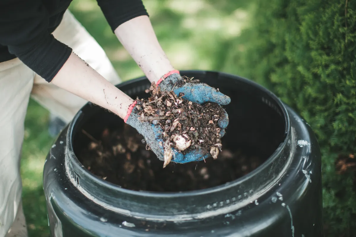 Gardener holding a handful of compost, Getty