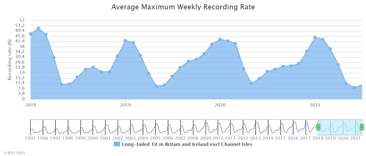 Average maximum weekly recording rate for long-tailed tits in gardens