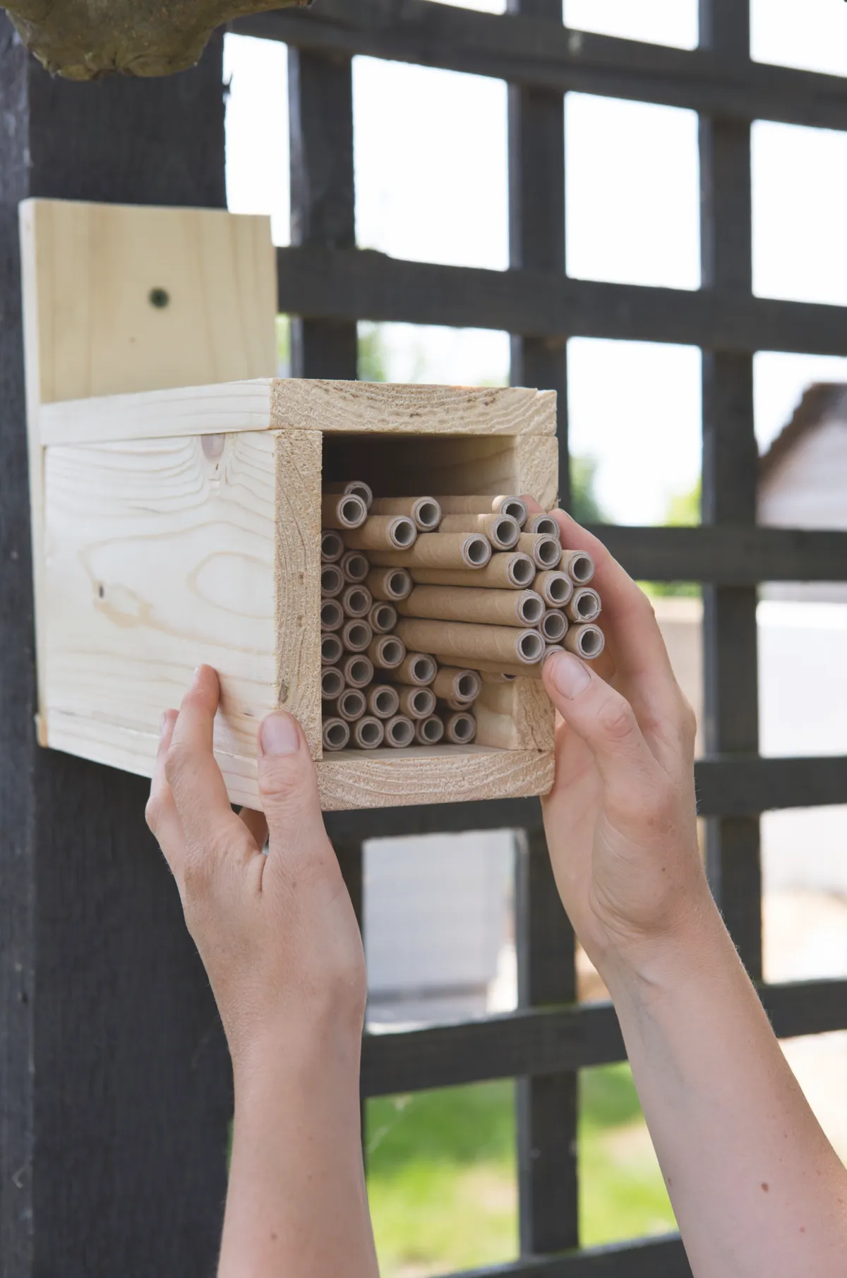 Putting up the bee hotel. © Sarah Cuttle
