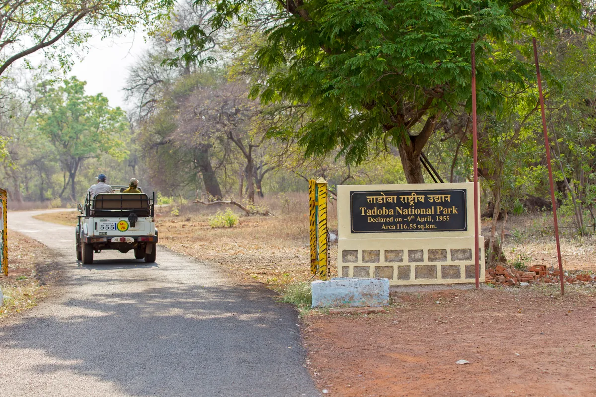 Tadoba National Park entrance, India. Getty