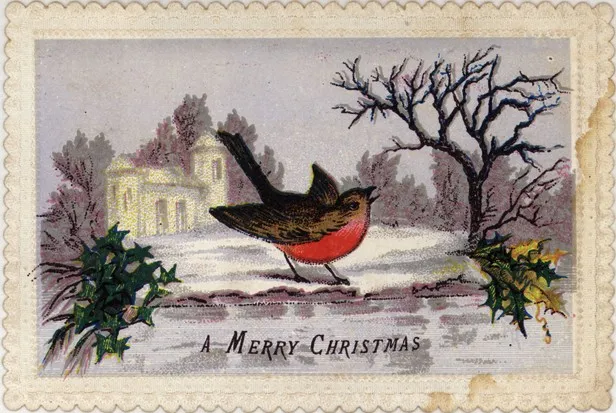 Robin illustrated Christmas card