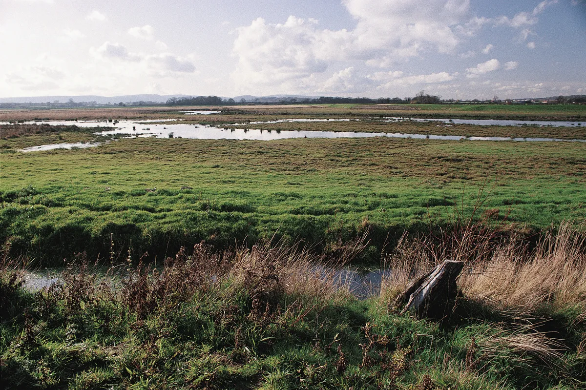 Flooded fields and ditches at Pulborough Brooks reserve. © Andy Hay/RSPB