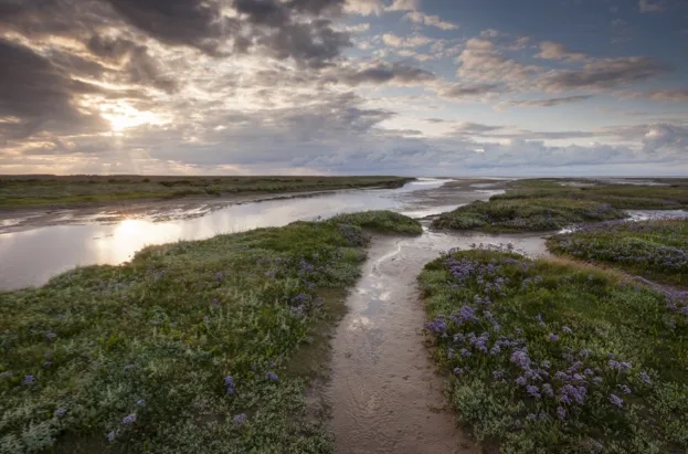 Stiffkey Marshes at Blakeney. © National Trust
