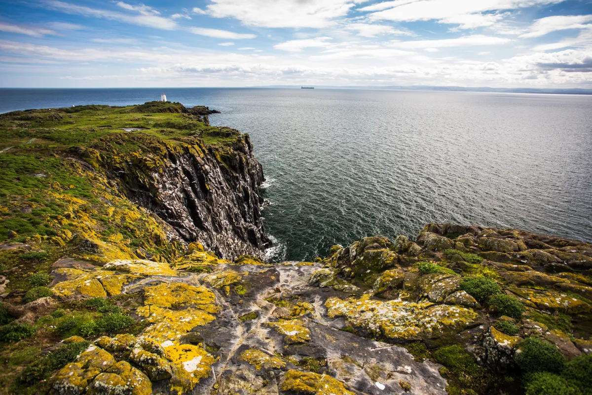 Isle of May, Scotland