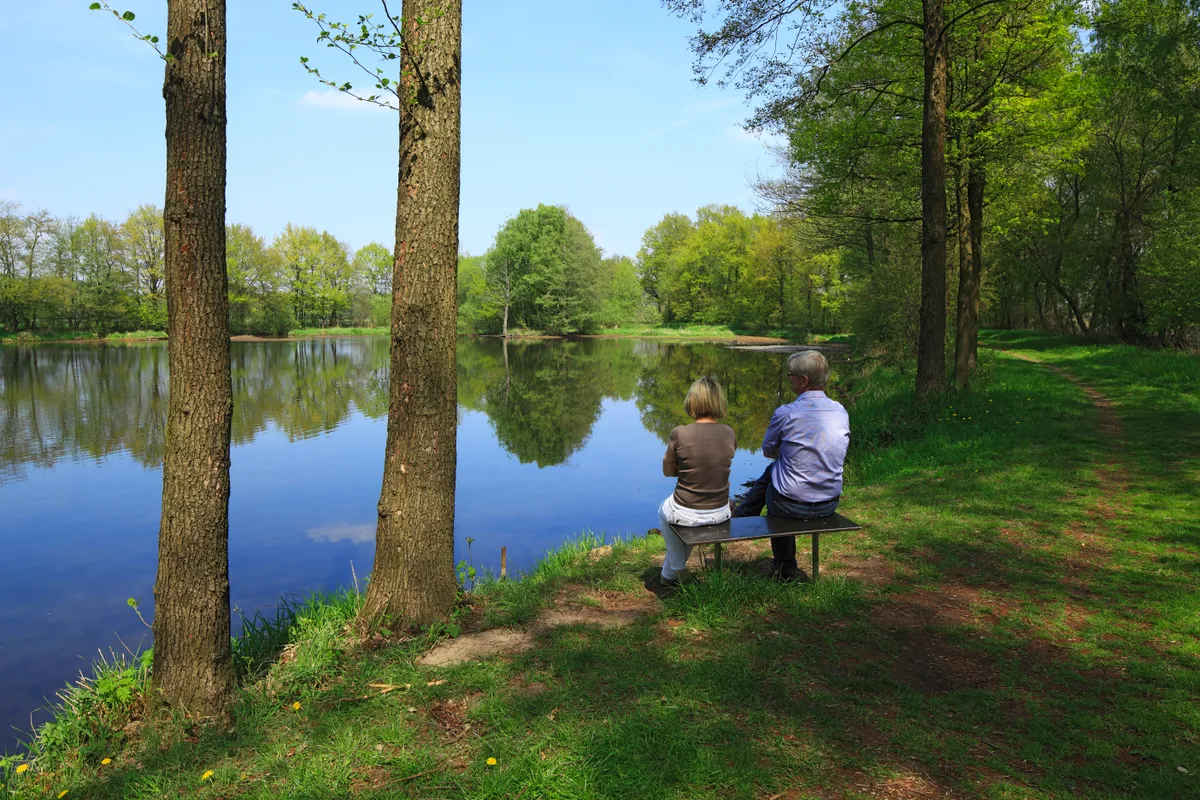 Benches can make natural areas more accessible for many people © Werner OTTO / ullstein bild / Getty
