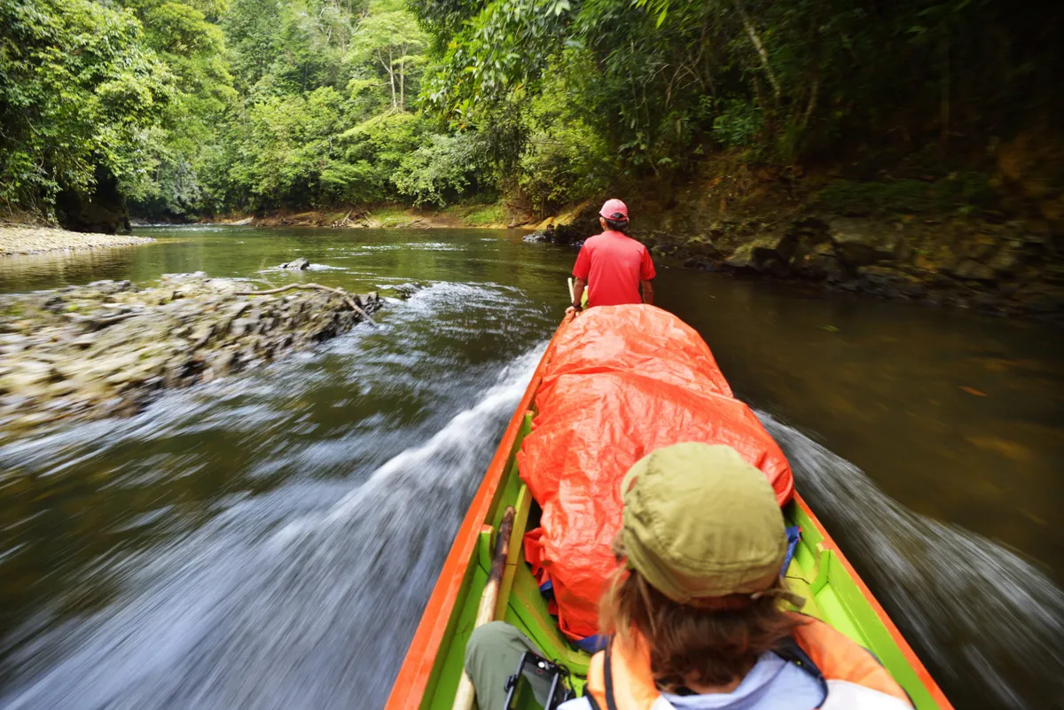 Heading upriver in search of the great red apes. © Mark Eveleigh
