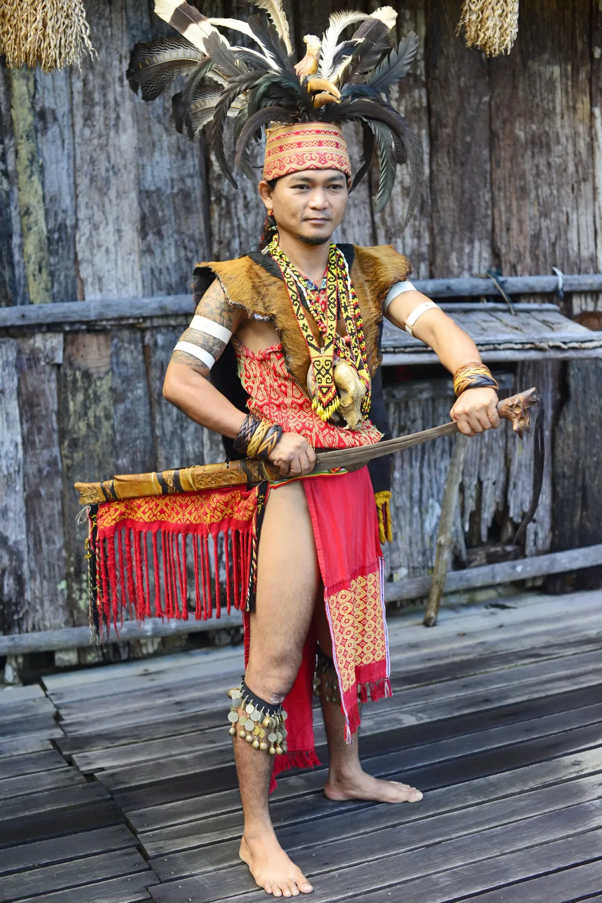 An Iban in traditional warrior costume. The tribe was once much-feared as headhunters. © Mark Eveleigh