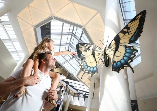 The exhibition includes a swallowtail butterfly © Big Bugs on Tour