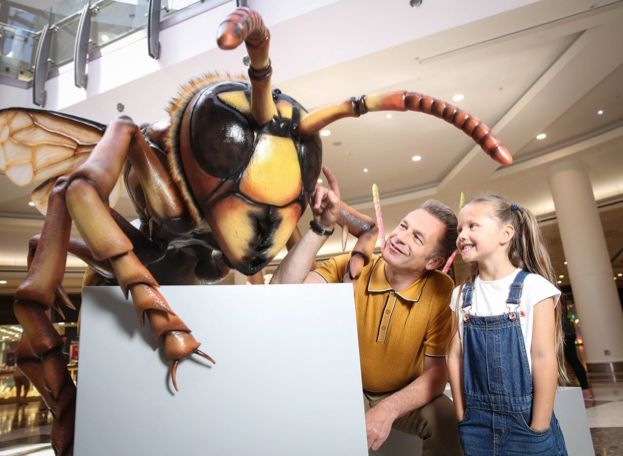 Why you could spot a giant insect next time you go shopping! - Discover ...