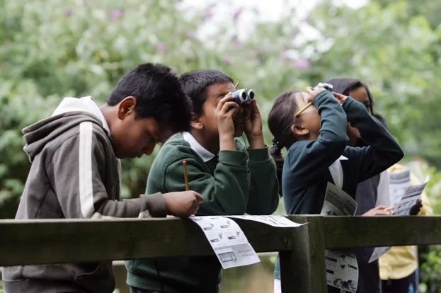 Children doing Big Schools Birdwatch at school