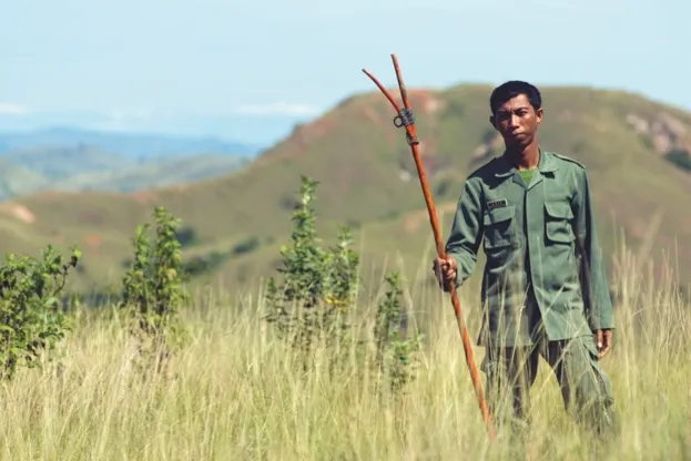 All over Africa rangers, in far less risky situations, are forbidden from leaving camp without high-calibre rifles yet it seems that these sticks are ? in conjunction with a stout pair of legs for running ? the only line of defence against dragon attacks for Komodo National Park rangers.