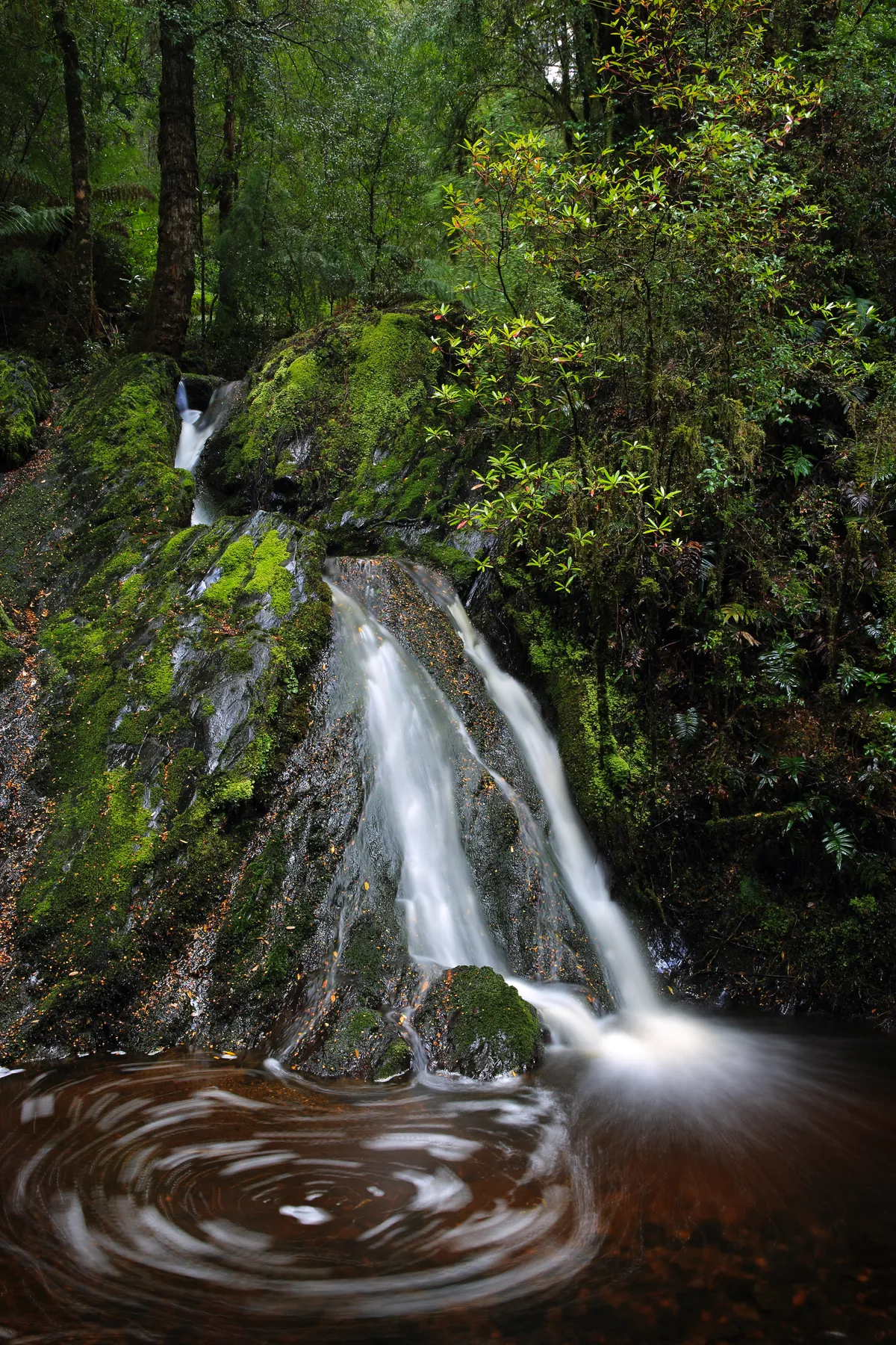 A little known waterfall off the beaten track. © Arwen Dyer