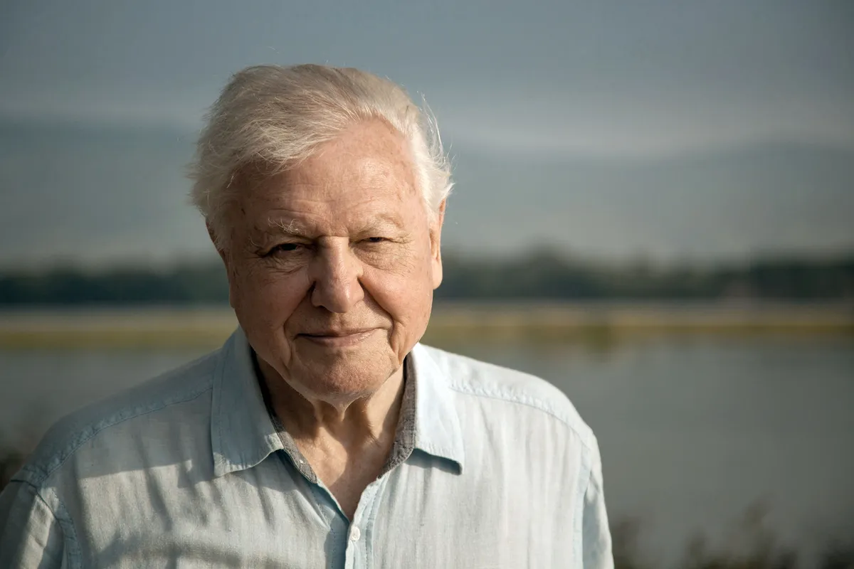 Sir David Attenborough will be presenting and narrating Dynasties. © BBC NHU/Nick Lyon