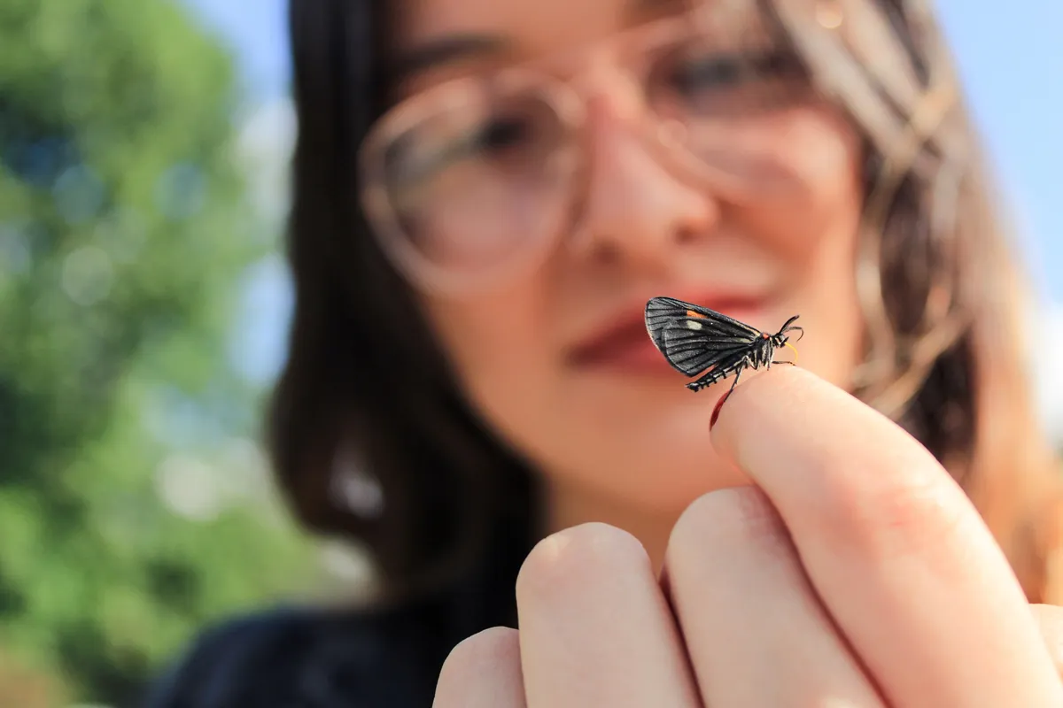 Close-up of butterfly on finger. © Santiago Baena/EyeEm/Getty