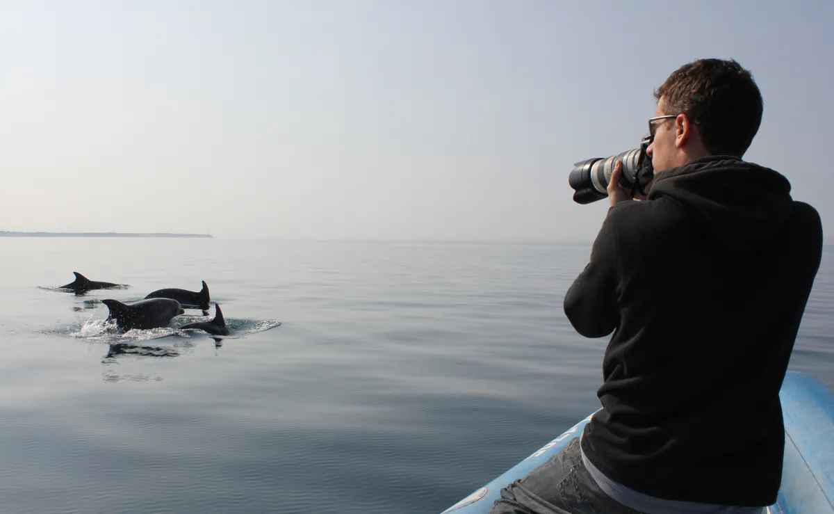 Studying the Morigenos dolphins. © Ana Have