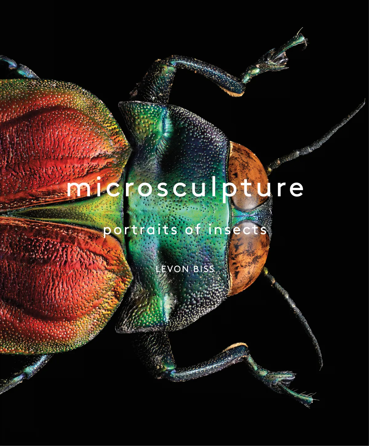 Microsculpture: Portraits of Insects © Levon Biss