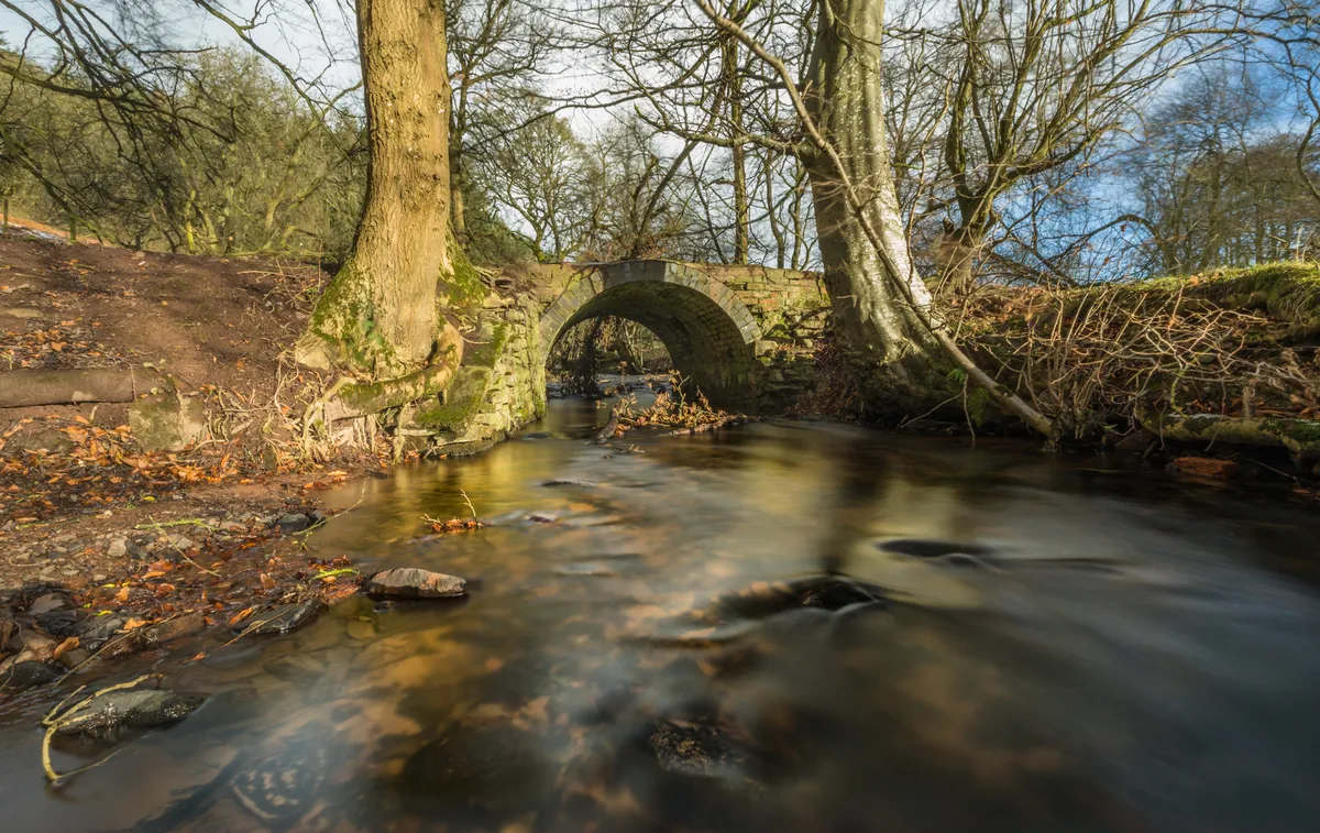 In winter, this ancient bridge over the river is a quiet, contemplative spot, giving little hint of how it supports new life for dippers year after year. © Andrew Fusek Peters