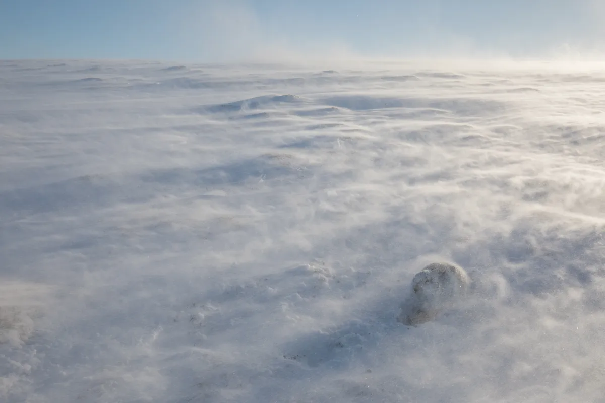 Habitat category winner: Spectacular isolation. (Mountain hare) © Andrew Parkinson/BWPA