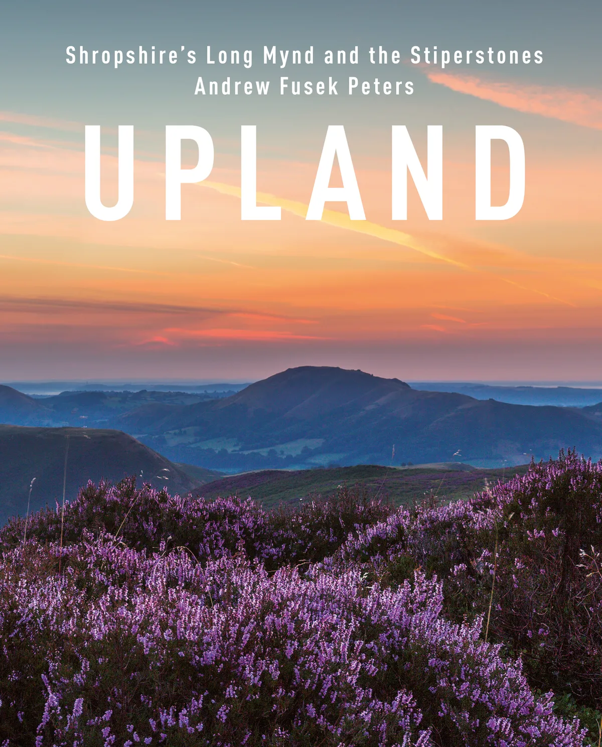 When the heather blooms in August, the whole Long Mynd turns purple and the best time to catch the views over Shropshire towards the far Wrekin is before dawn © Andrew Fusek Peters