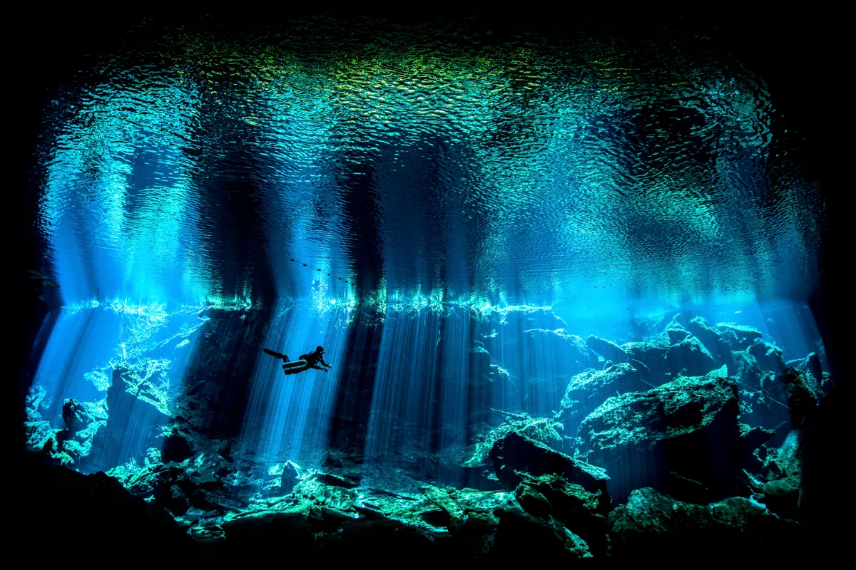 British Underwater Photographer of the Year 2017. Out of the Blue (Kukulkan Cenote, Yucatan Peninsula). © Nick Blake/UPY 2017