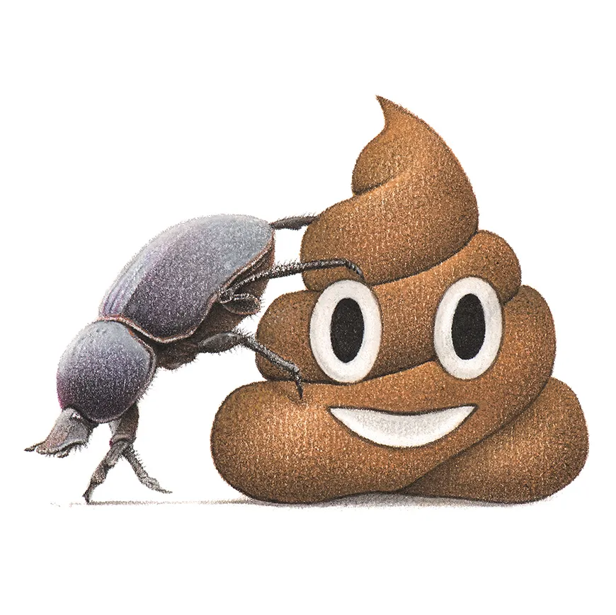 Pastel pencil drawing of a dung beetle and poop emoji. © mART