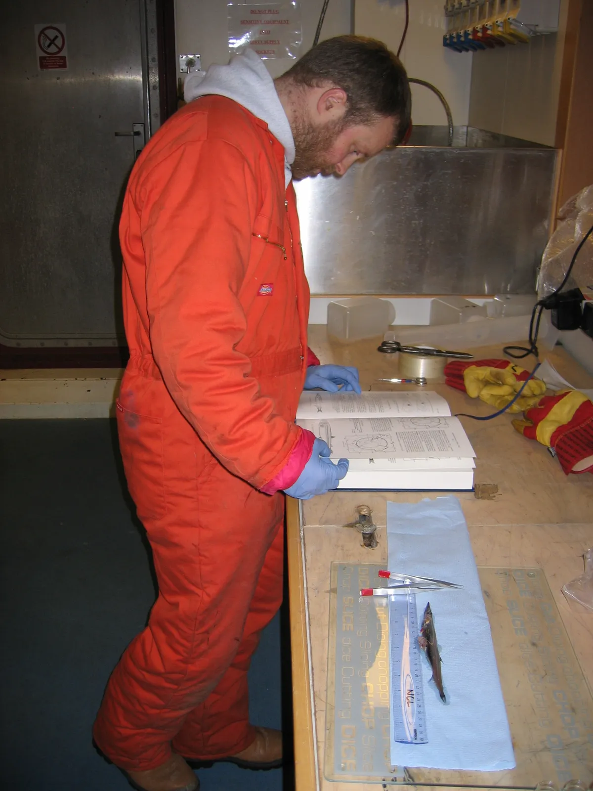Will identifying an Antarctic fish on a research expedition to the Southern Ocean.