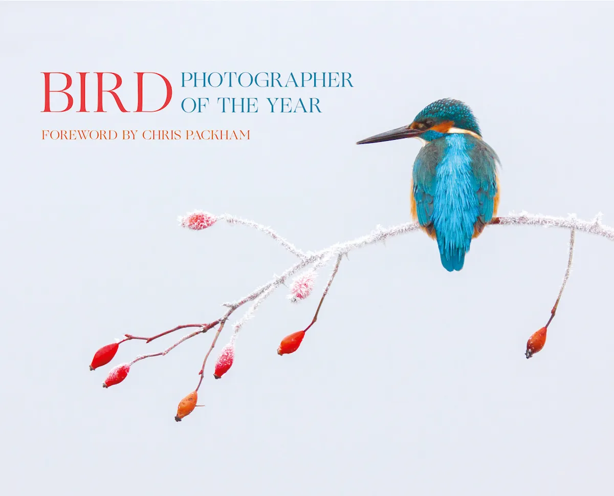 Bird Photographer of the Year 2017 book cover.
