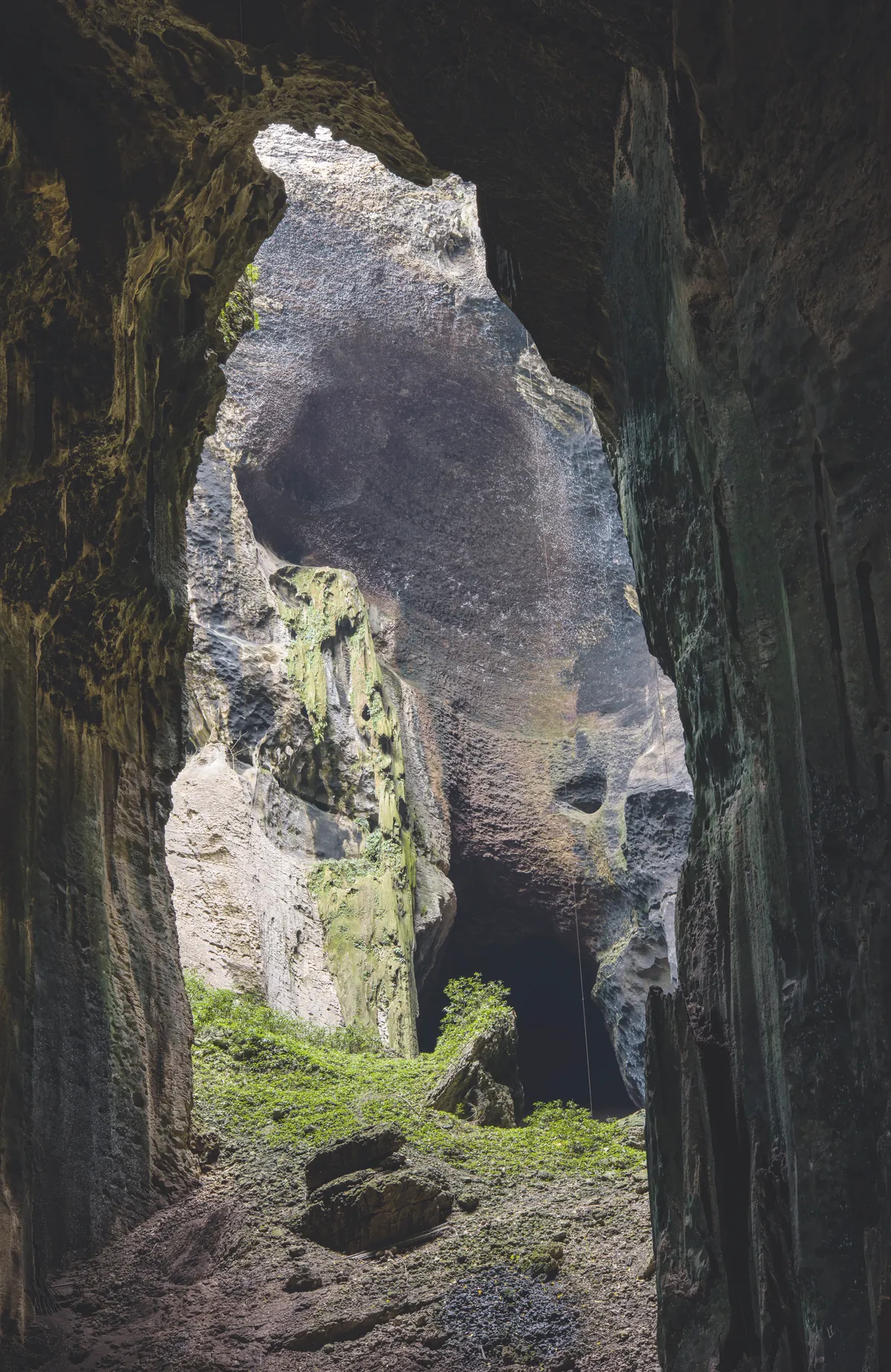 One of the main entrances to the Gomantong Cave system. Twice a year local people follow a tradition from the middle ages and pass through here to collect empty swiftlet nests, which are used to make bird’s nest soup – though the activity is now licensed. © Emanuele Biggi and Francesco Tomasinelli.