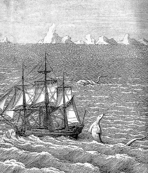 Image of a sea monster seen off Greenland in 1734