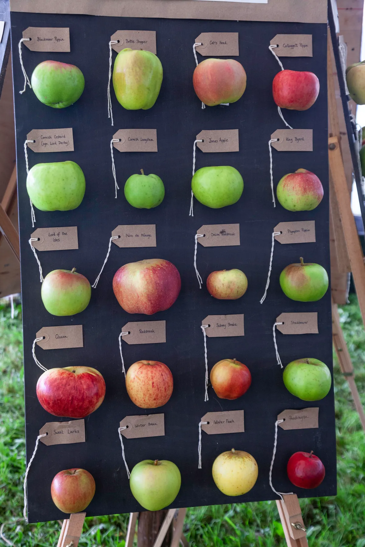 Traditional apple varieties on display at Cotehele, Cornwall. (c) Mel Peters/National Trust