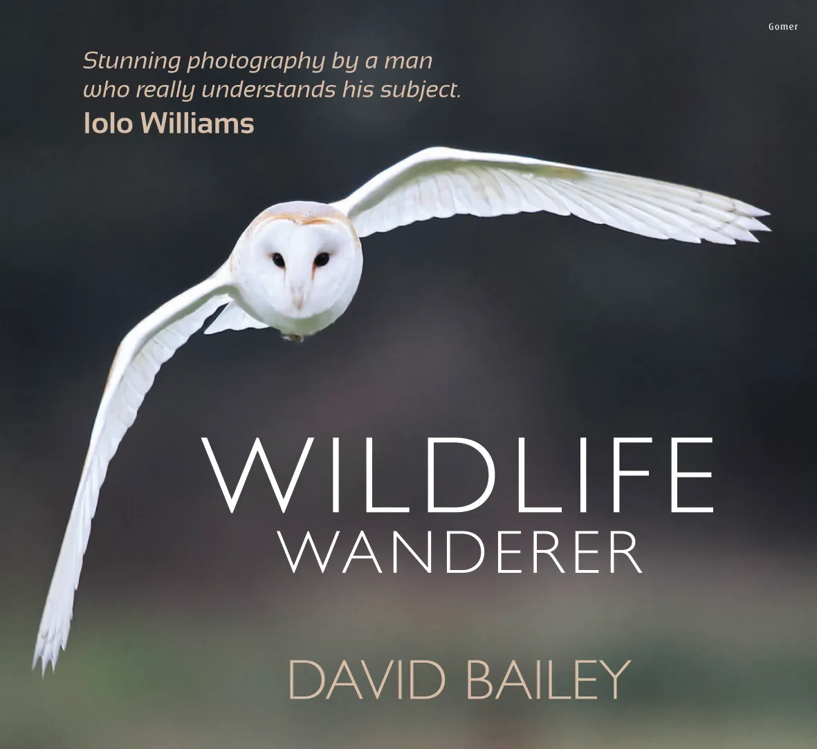Wildlife wanderer. © David Bailey.