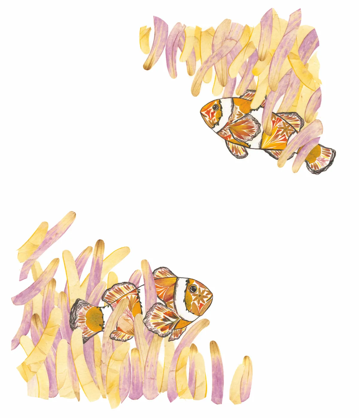 Clownfish. © Helen Ahpornsiri