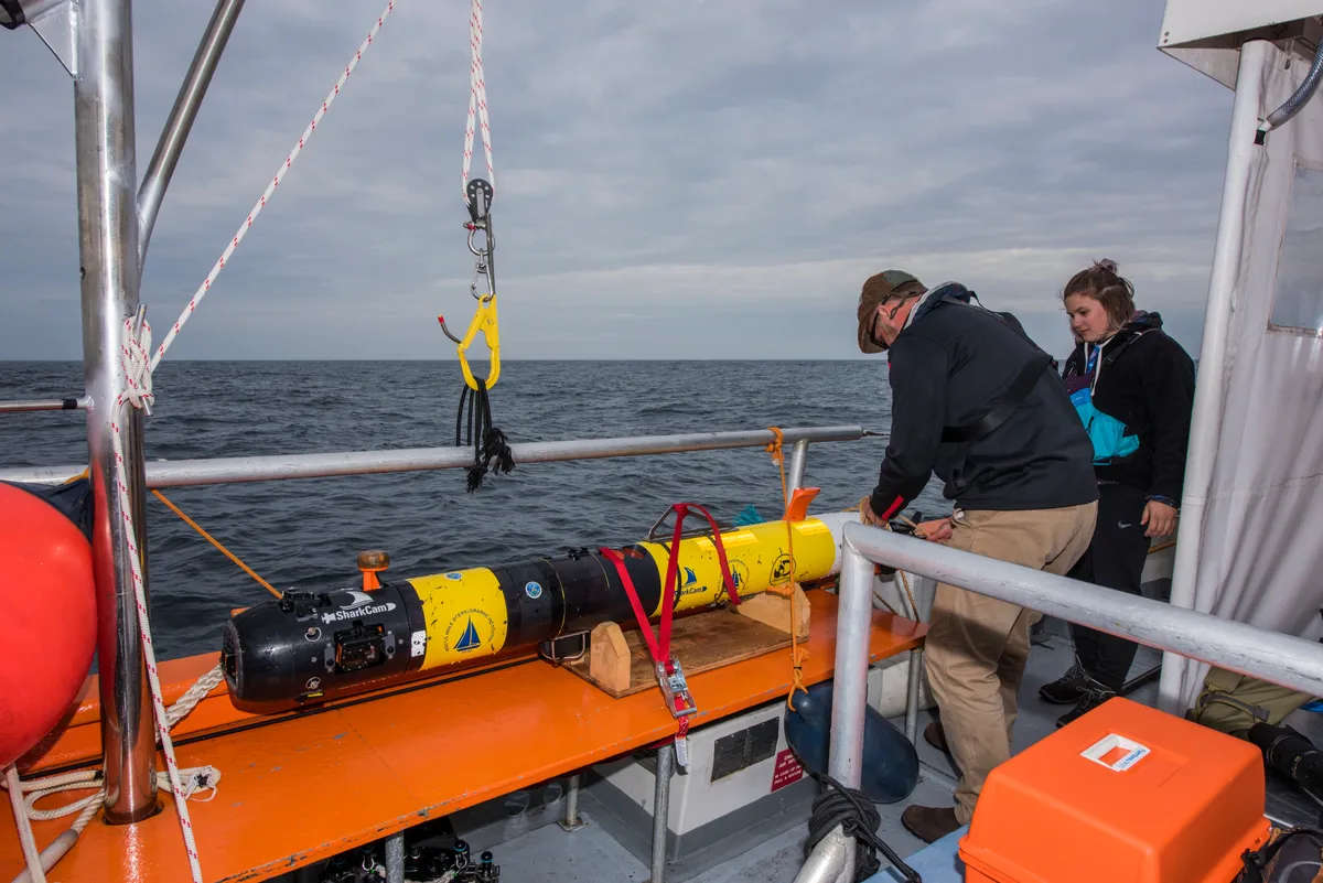 The underwater robotic camera has been dubbed 'SharkCam' by the team.