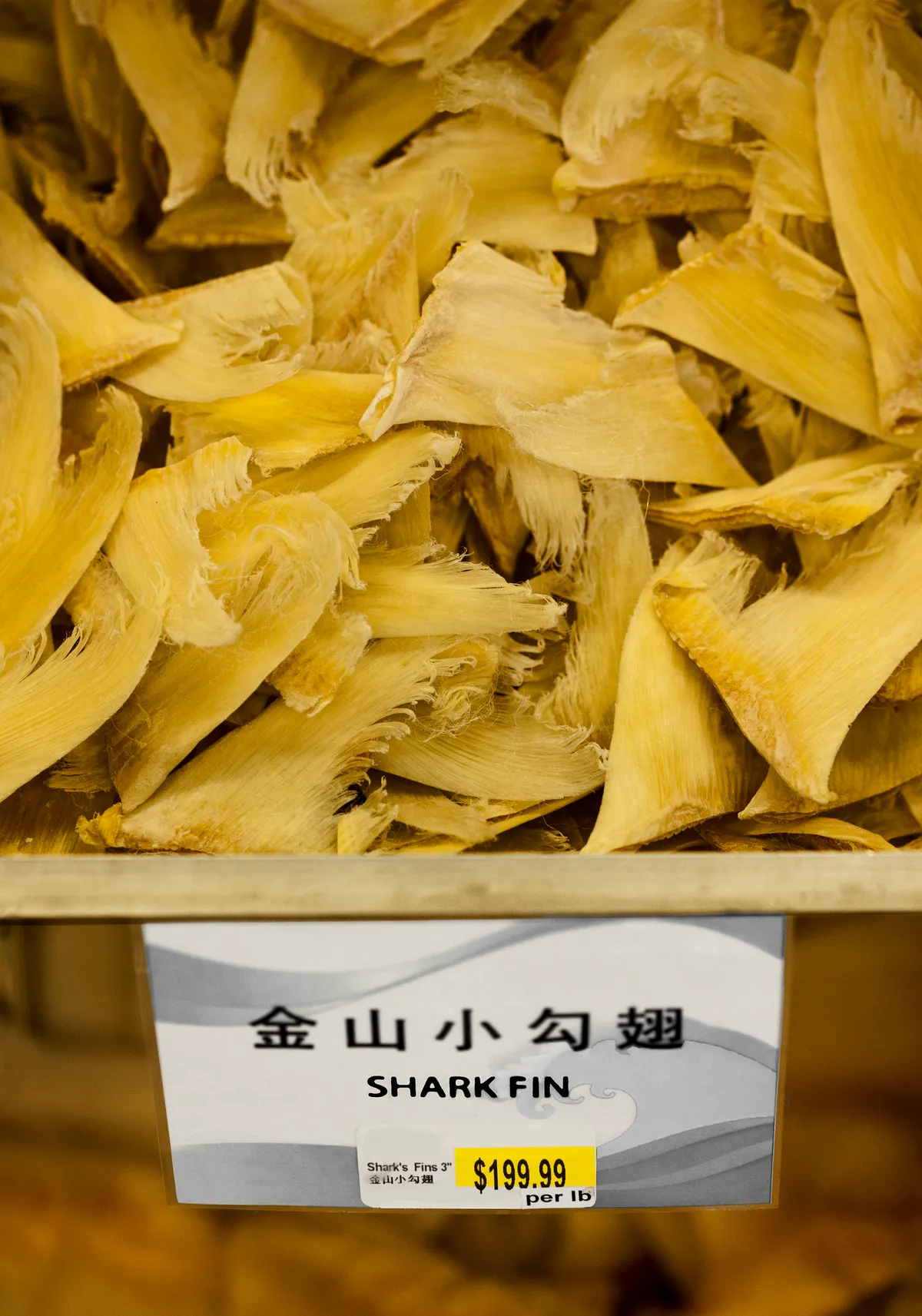 Shark fins for sale in a gourmet Chinese food store. Ed-FreemanGetty