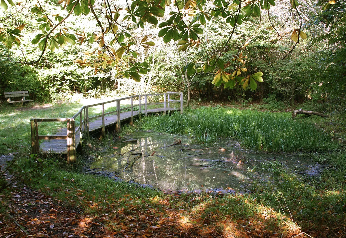 Pond in Highfield Country Park. Kurt Adkins