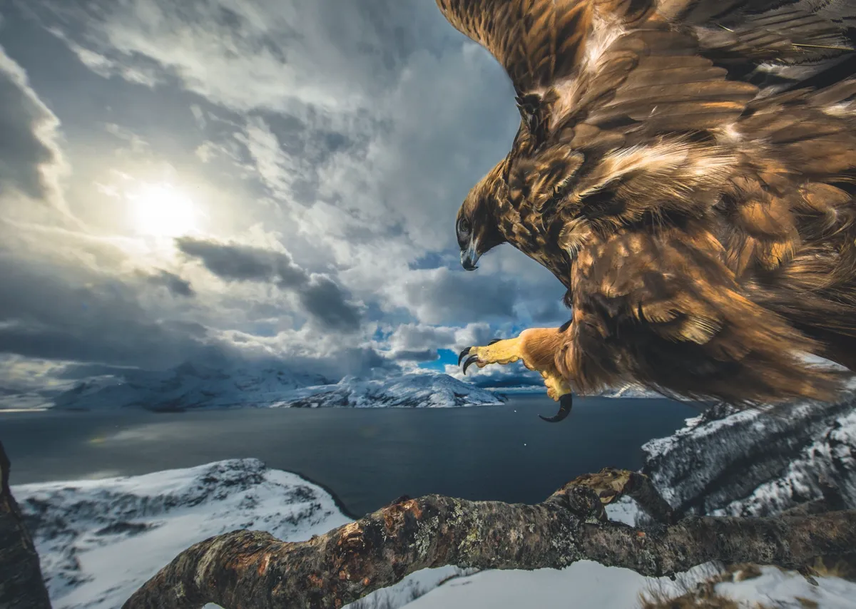 © Audun Rikardsen/Wildlife Photographer of the Year