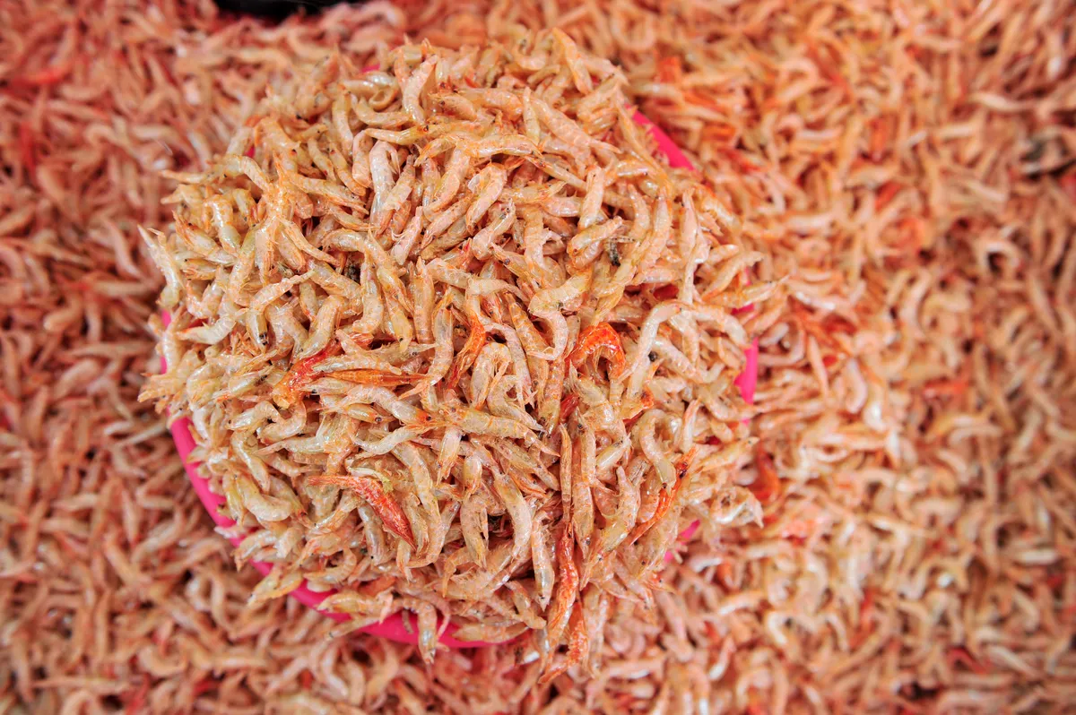 Dried krill. Im Yeongsik/Getty