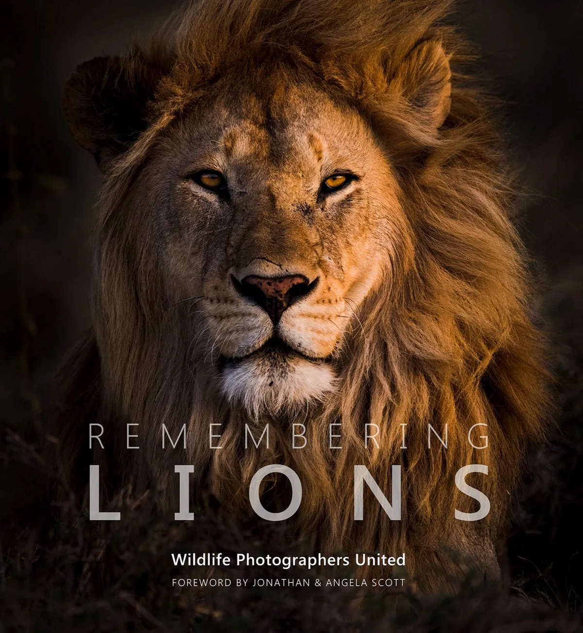 Remembering Lions book is published by Envisage Books.