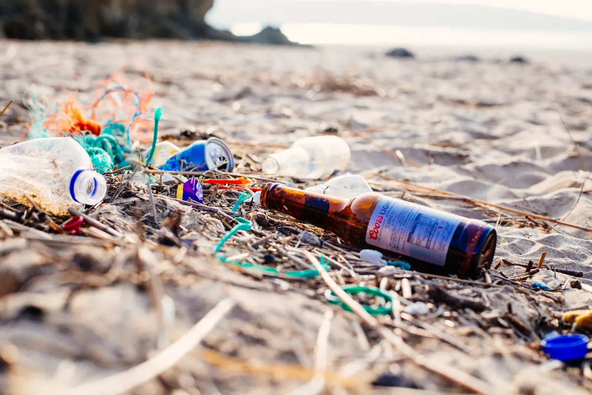 Glass bottles can be as dangerous for wildlife as plastic ones. © Marine Conservation Society.