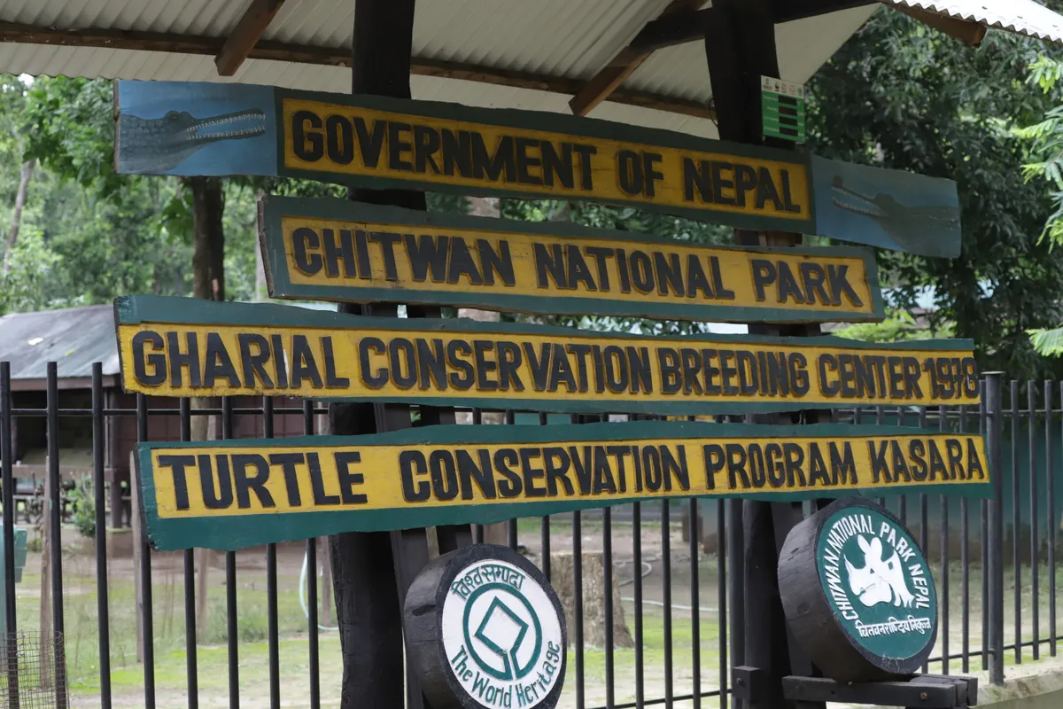 Government of Nepal Chitwan National Park Gharial Conservation Breeding Centre (c) Jonathan Kemeys_ZSLGovernment of Nepal Chitwan National Park Gharial Conservation Breeding Centre (c) Jonathan Kemeys_ZSL